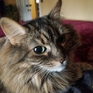 Meet your Posher, Marcia